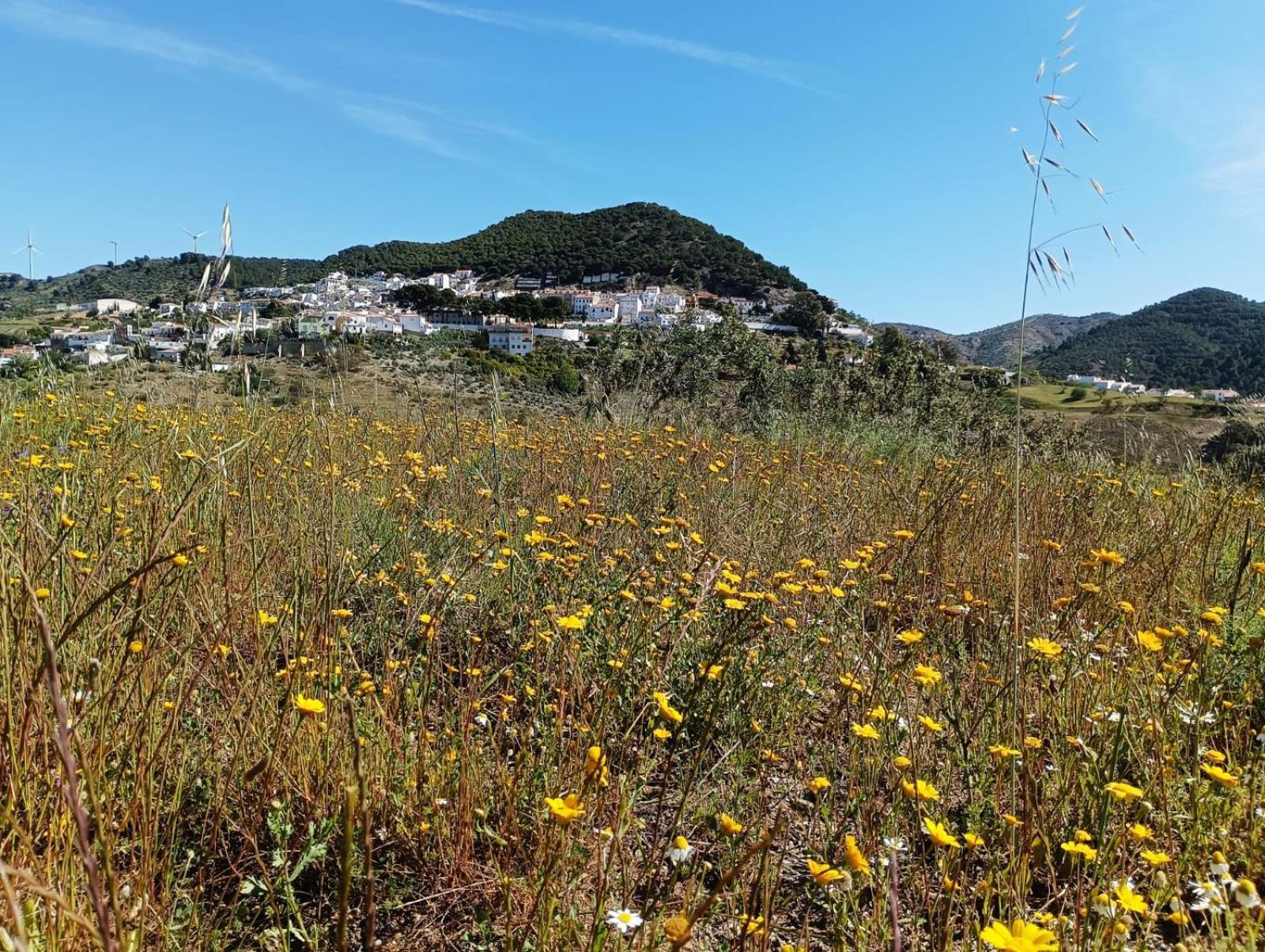 Complejo Rural Los Alcornoquillos Carratraca المظهر الخارجي الصورة